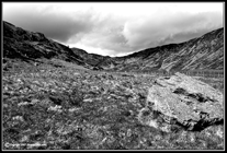 Black and White Gallery